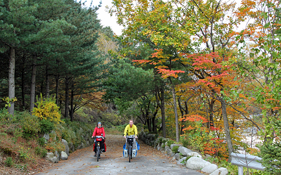 fietsendoorherfstbos1