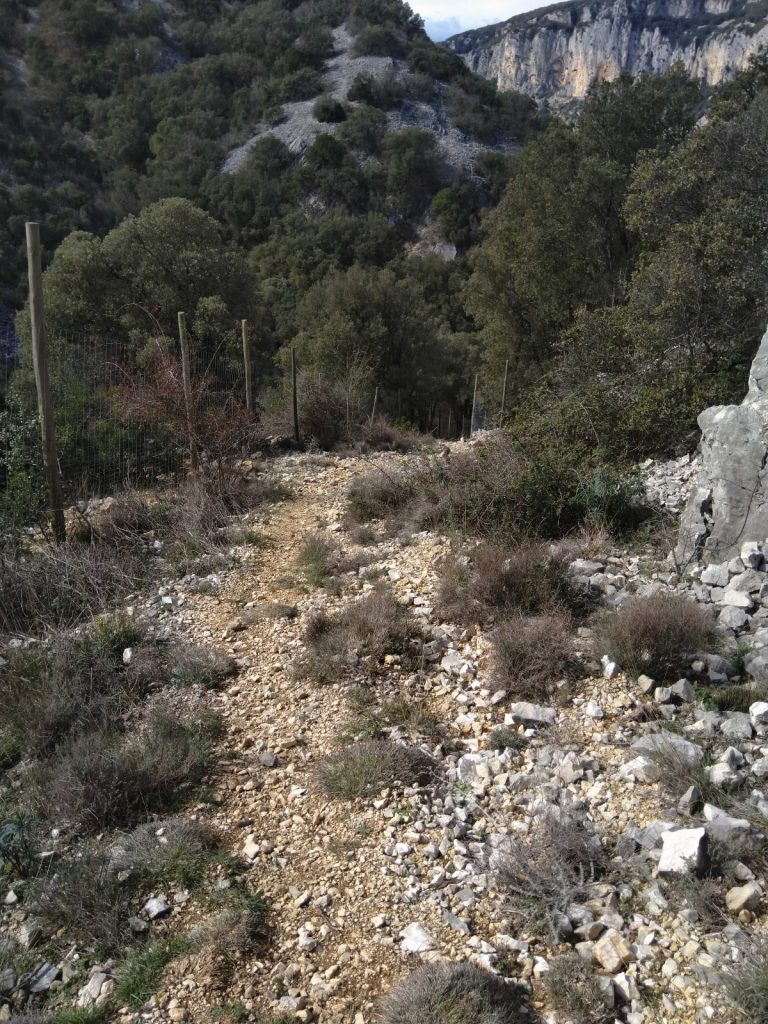 Pad in de Franse Cevennen