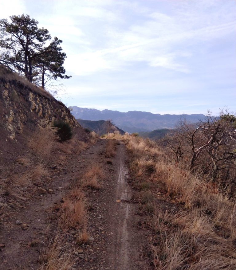Pad door de bergen van de Franse Cevennen